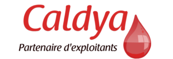 CRÉATION