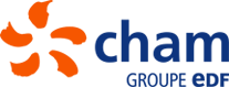 logo cham