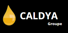 Logo du groupe Caldya