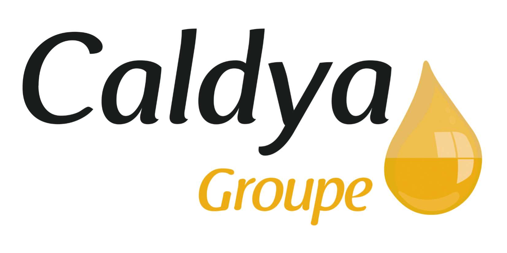 Logo de Caldya groupe, partenaire de Caldya esport